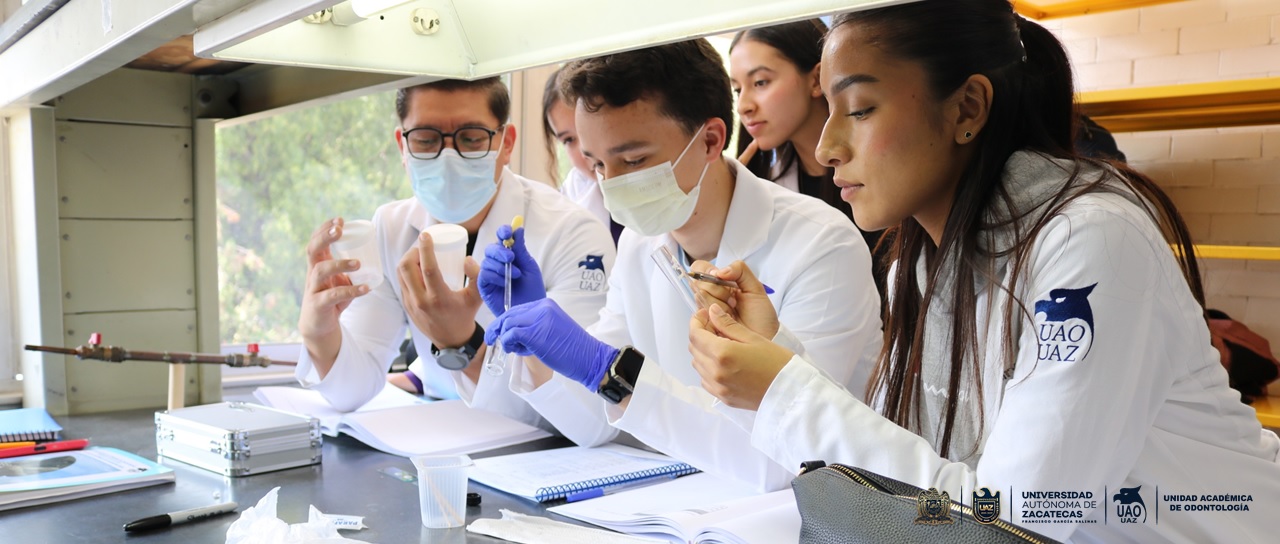 Lab alumnos