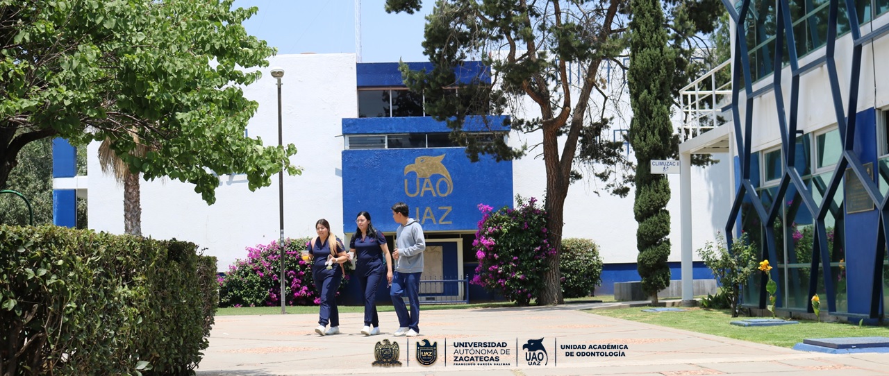 chicos caminando